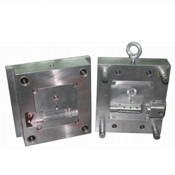 Pmma Molding Parts Tpe Injection Precise Plastic Mould